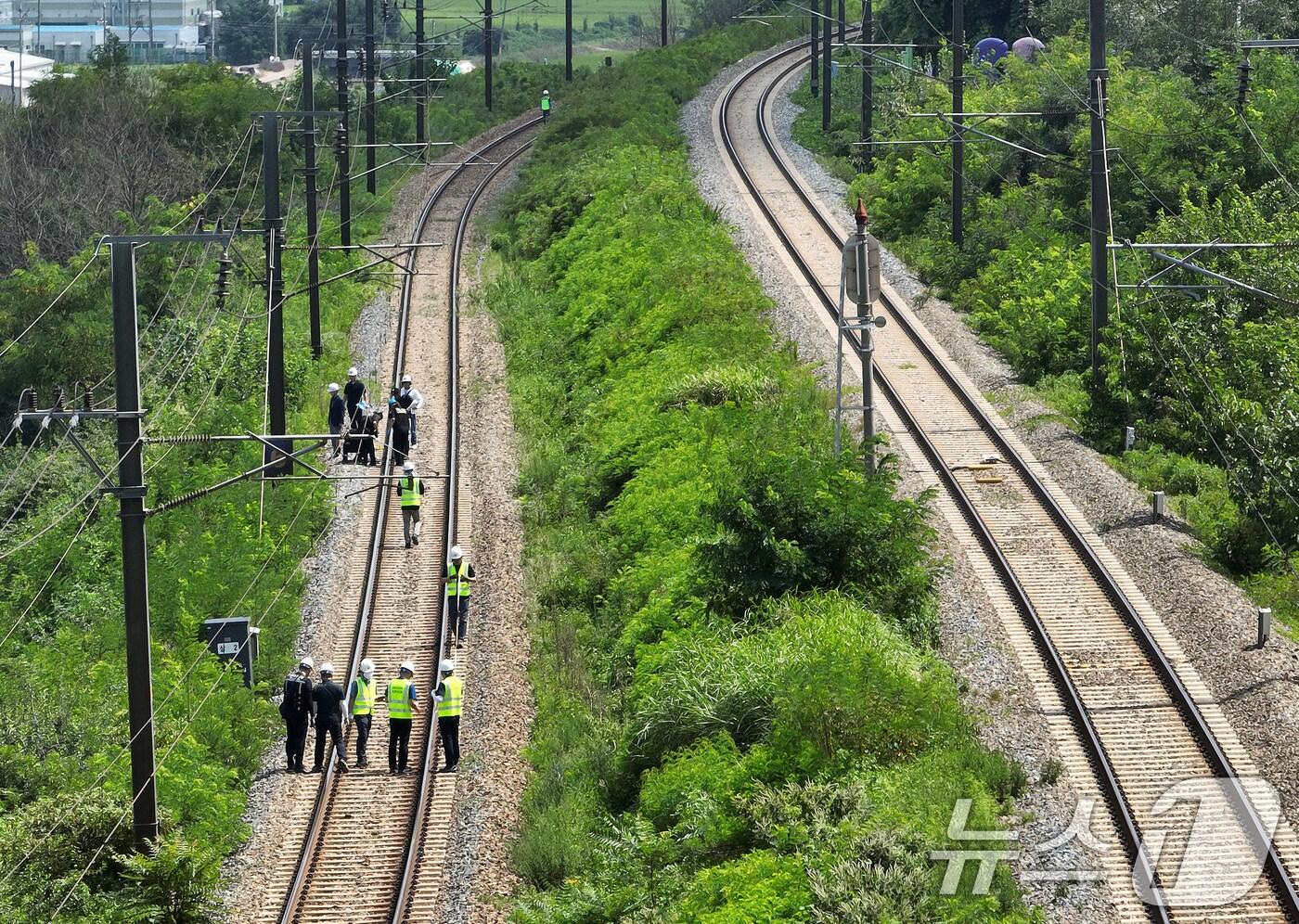 20일 오후 경북경찰청, 국립과학수사연구원, 항공철도사고조사위원회, 노동 당국 등 합동감식에 참여한 기관 관계자들이 경북 청도군 화양읍 삼신리 경부선 무궁화호 열차 사고 현장에서 합동감식을 진행하고 있다. 2025.8.20/뉴스1 ⓒ News1 공정식 기자