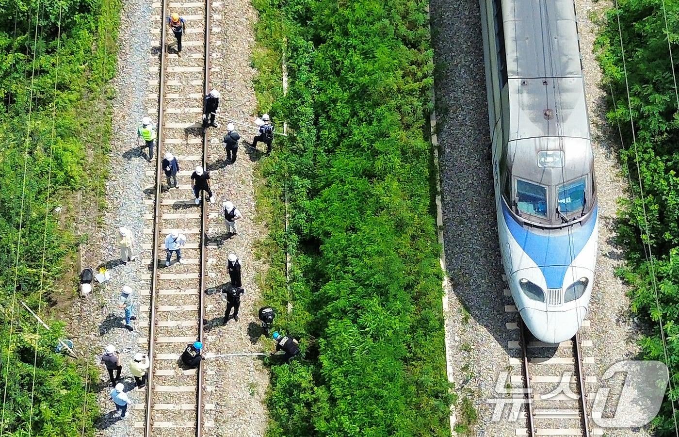 지난 8월20일 오후 경북경찰청, 국립과학수사연구원, 항공철도사고조사위원회, 노동 당국 등 합동감식에 참여한 기관 관계자들이 경북 청도군 화양읍 삼신리 경부선 무궁화호 열차 사고 현장에서 합동감식을 진행하고 있다. 2025.8.20/뉴스1 ⓒ News1 공정식 기자