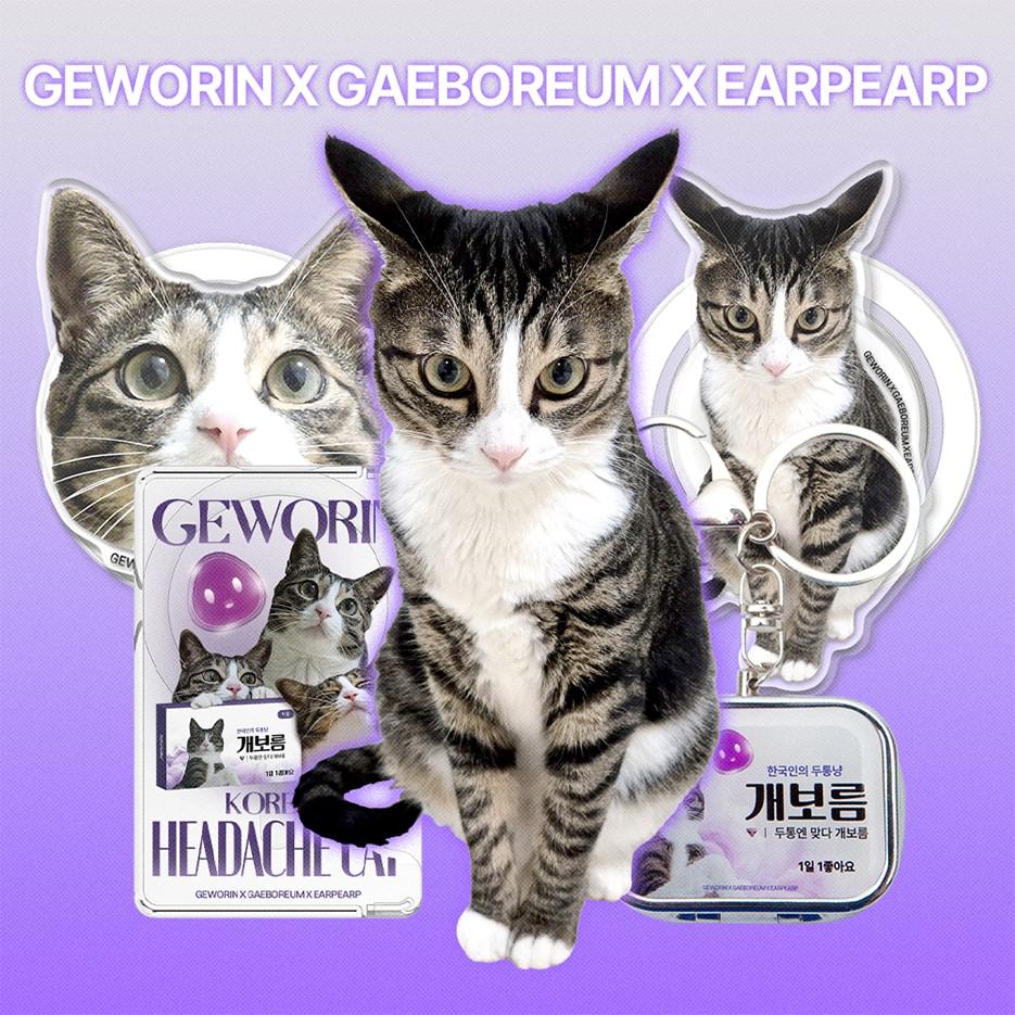 본문 이미지 - 삼진제약이 '게보린' 앰배서더 '개보름', 브랜드'어프어프'와 이색 굿즈를 출시했다.(삼진제약 제공)/뉴스1