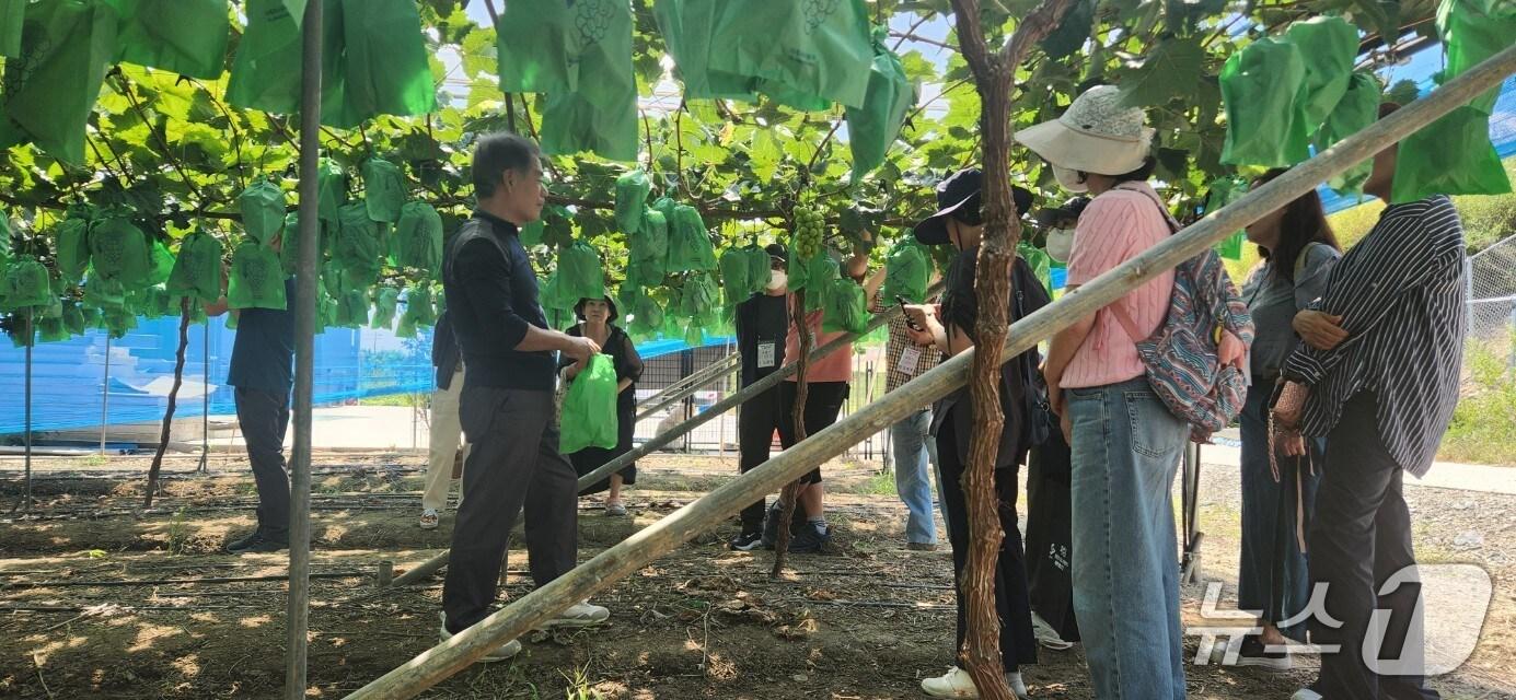 본문 이미지 - 영천시의 '나 영천 산다' 귀농 캠프 모습.(영천시 제공. 재판매 및 DB금지)/뉴스1