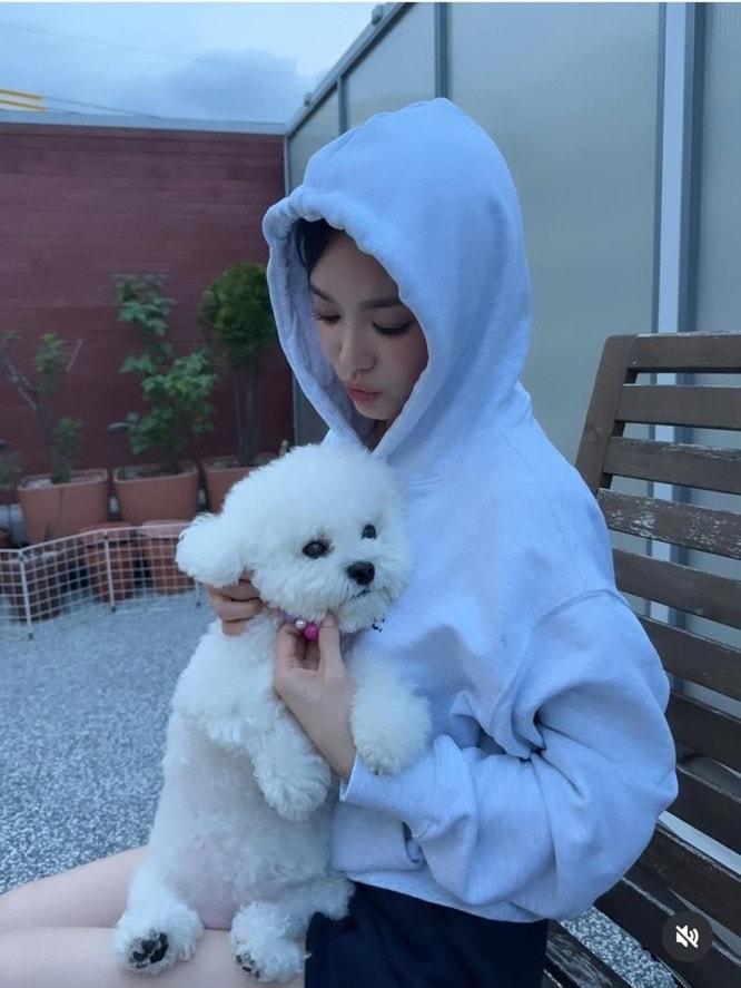 본문 이미지 - 송혜교 인스타그램