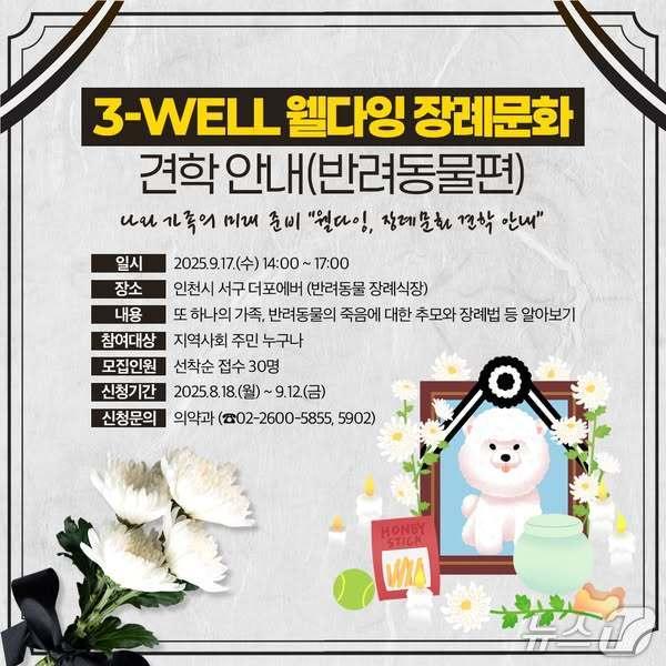 본문 이미지 -  (서울 강서구 제공) 