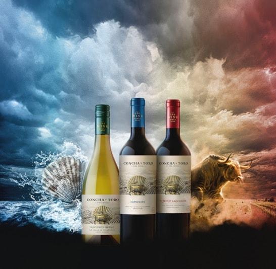 본문 이미지 - (금양인터내셔날 제공)