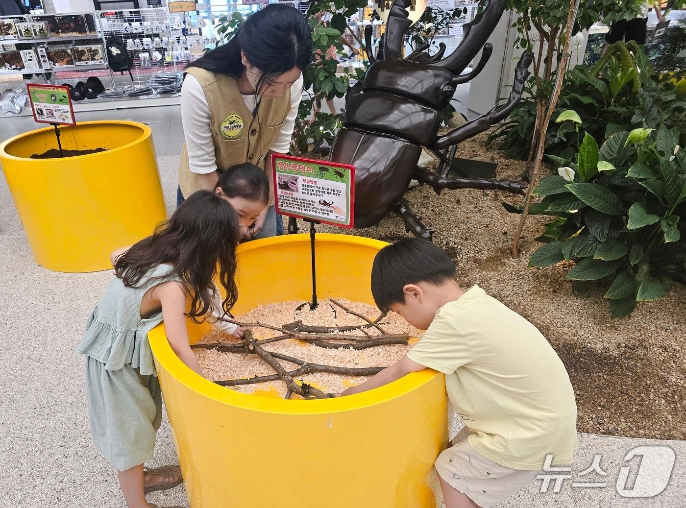 본문 이미지 - 롯데몰 동부산점 여주곤충박물관 팝업 스토어를 방문한 어린이들이 곤충을 관찰하고 있다.(롯데몰 동부산점 제공. 재판매 및 DB 금지)
