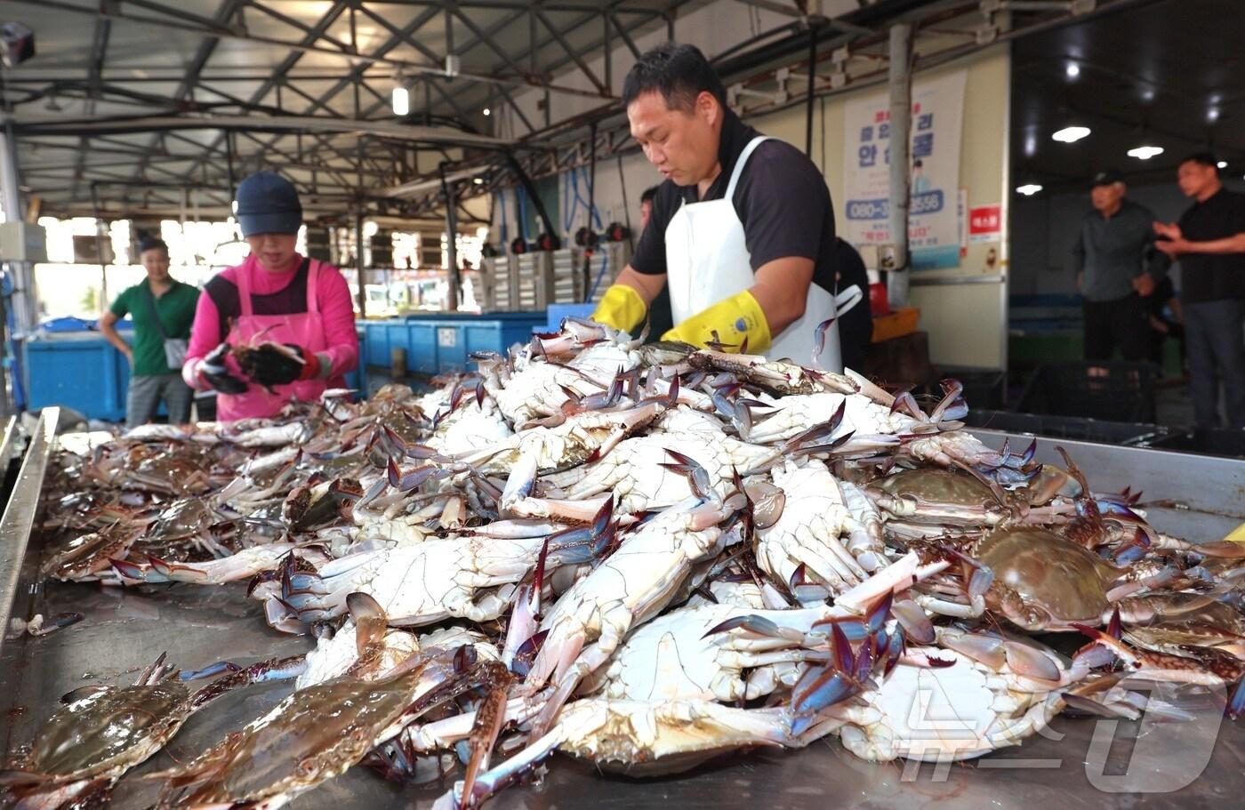 태안군의 대표 꽃게 산지인 안면읍 백사장항(태안군 제공. 재판매 및 DB금지)2025.8.21/뉴스1 ⓒ News1 이동원 기자