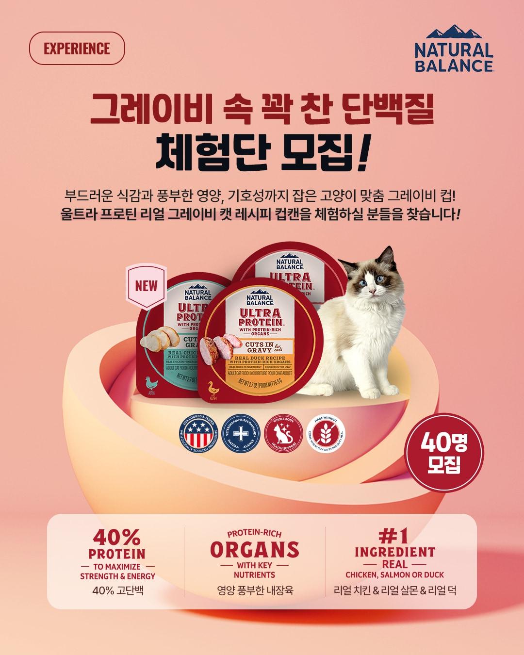 본문 이미지 - 내추럴발란스는 반려묘의 건강한 식습관을 위한 신제품 '울트라 프로틴 리얼 치킨·살몬·덕 그레이비 캣 레시피 컵' 체험단을 모집한다(내추럴발란스 제공). ⓒ 뉴스1