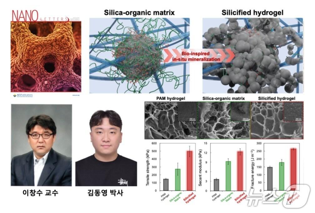 본문 이미지 - 연구 모식도  /뉴스1