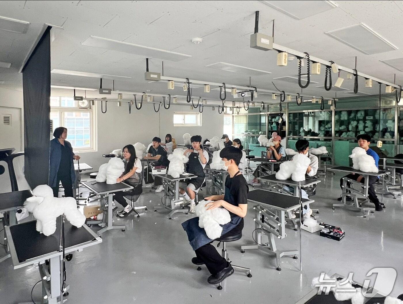 본문 이미지 - 전북 임실군과 원광대학교가 오수면 반려동물 친화 도시 도약을 위해 손을 맞잡고 전문가를 양성한다.&#40;임실구제공. 재판매 및 DB금지&#41;2025.8.21/뉴스1