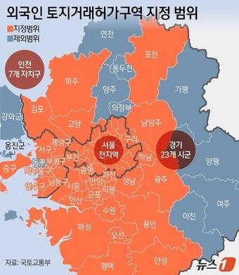 본문 이미지 - ⓒ News1 양혜림 디자이너