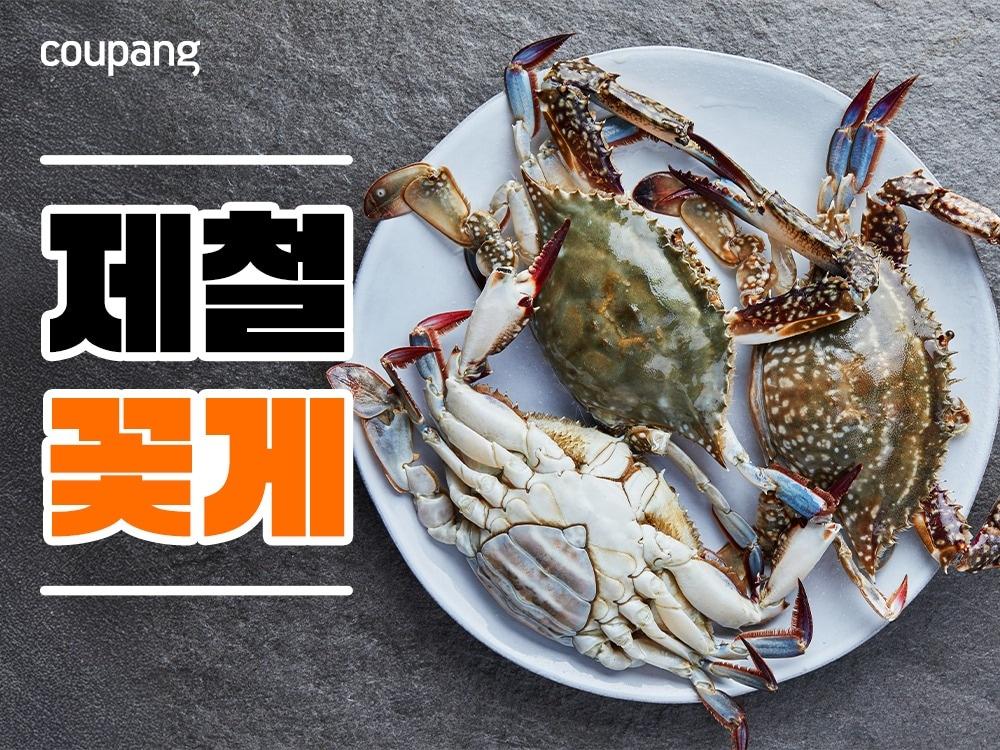 본문 이미지 -  (쿠팡 제공).