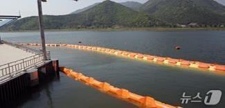 본문 이미지 - 낙동강 물금매리 지점, 조류 차단막 설치 모습.&#40;부산시 제공. 재판매 및 DB금지&#41;