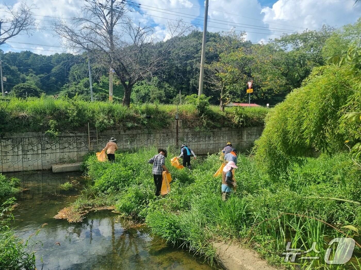 본문 이미지 - 청주시 대청호 유입 하천 쓰레기 수거.(시 제공)/뉴스1 