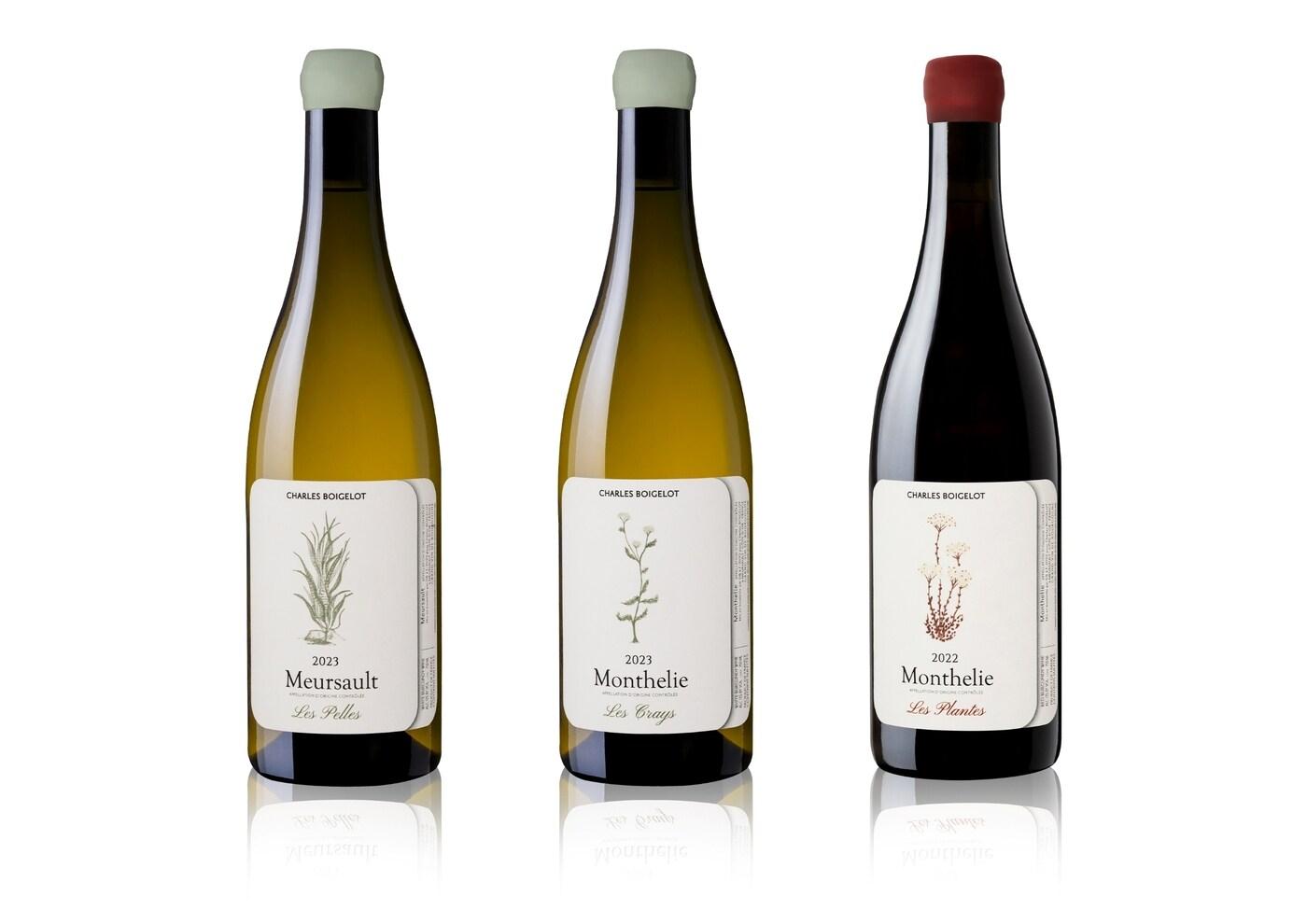 (나라셀라 제공)