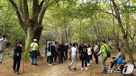본문 이미지 -  계룡하늘소리길 탐방 현장(계룡시 제공.재판매 및 DB금지)/뉴스1