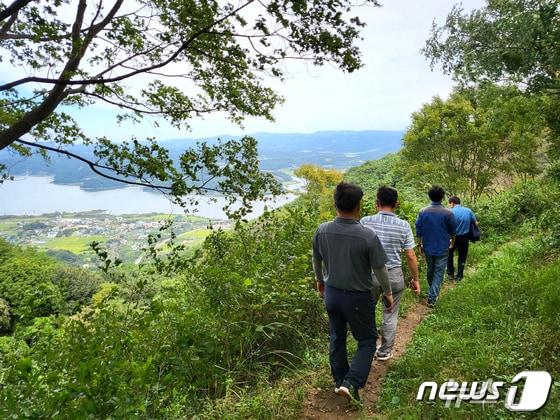 본문 이미지 - 내포문화숲길 백제부흥군길 3코스. /뉴스1   