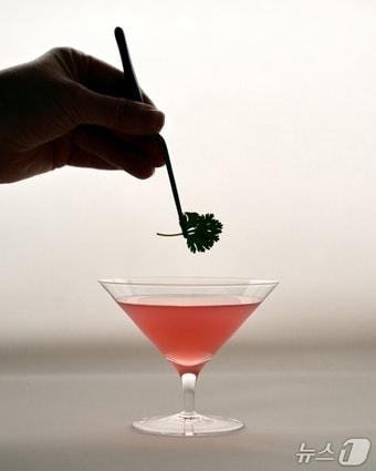 본문 이미지 - H.바에서 선보이는 칵테일&#40;포시즌스 서울 제공&#41;