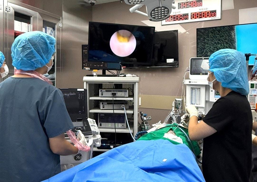 본문 이미지 - VIP동물의료센터 동대문점은 대표적인 무절개 결석수술법인 &#39;레이저 쇄석술&#39;을 진행하고 있다&#40;동물병원 제공&#41;. ⓒ 뉴스1