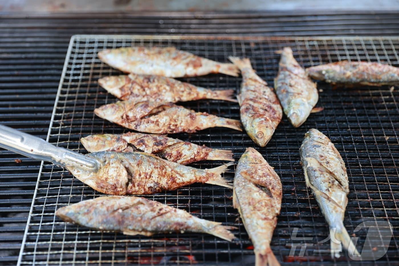 22일 열린 전남 보성전어축제에서 참가자들이 잡은 전어를 현장에서 직접 구워주고 있다.&#40;보성군 제공. 재배포 및 DB 금지&#41; 2025.8.24/뉴스1