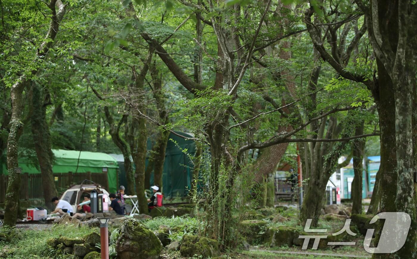 한라산을 제외한 전국에 폭염특보가 내려진 24일 오후 제주 한라산국립공원 관음사 야영장에서 도민과 관광객들이 여유를 즐기고 있다. 2025.8.24/뉴스1 ⓒ News1 오현지 기자