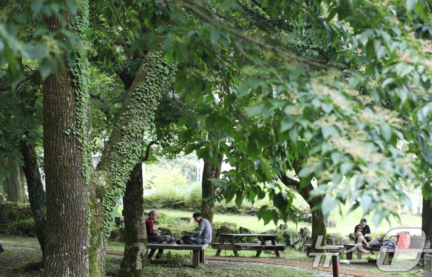 기사와 사진은 무관. 제주 한라산국립공원 관음사 야영장. 2025.8.24/뉴스1 ⓒ News1 오현지 기자