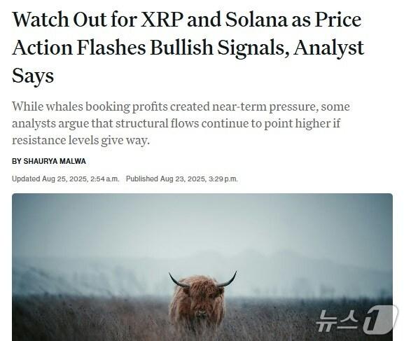 본문 이미지 - 해당 기사 - 코인데스크 갈무리