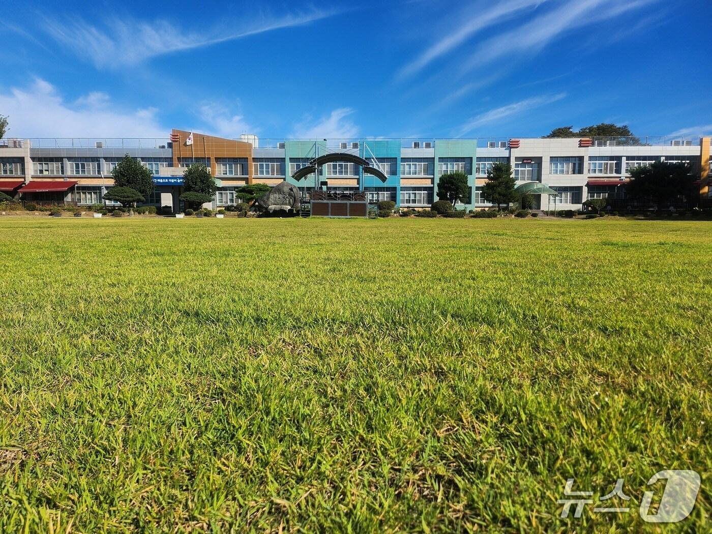 본문 이미지 - 산림청 국립산림과학원은 학교 운동장용 국산 잔디 신품종을 개발했다. (산림청 국립산림과학원 제공.재판매 및 DB금지)/뉴스1