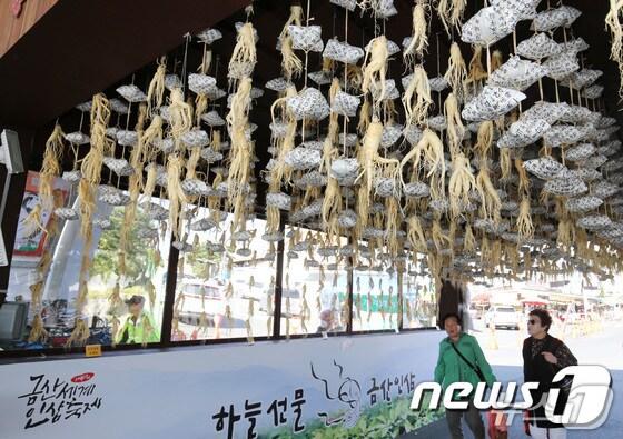 본문 이미지 - 금산 세계인삼엑스포 광장 일원에서 열린 제41회 금산세계인삼축제 모습. (금산=뉴스1) 김기태 기자