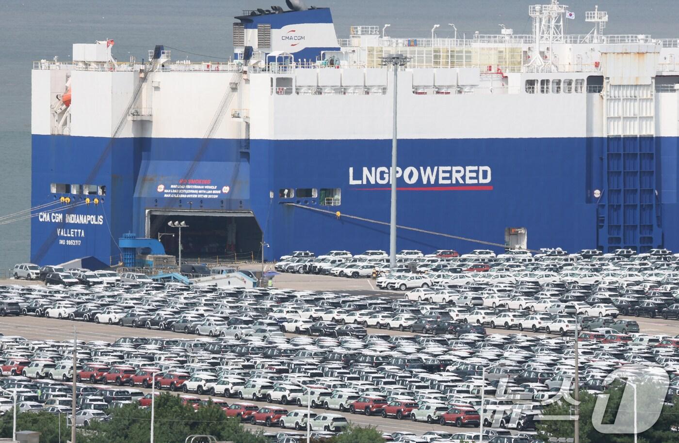 경기 평택시 포승읍 평택항에 수출용 차량이 세워져 있는 모습. 2025.8.25/뉴스1 ⓒ News1 김영운 기자