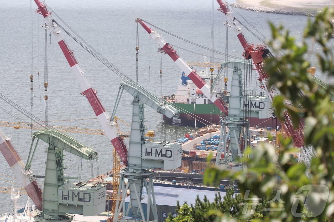 울산 동구 HD현대미포 수출 도크.2025.8.25/뉴스1 ⓒ News1 DB