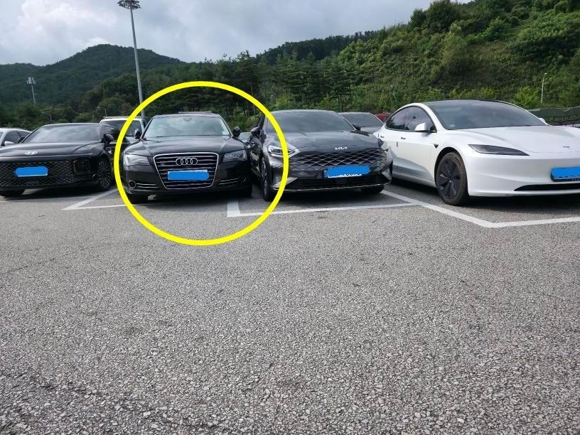 본문 이미지 - &#40;보배드림 갈무리&#41;