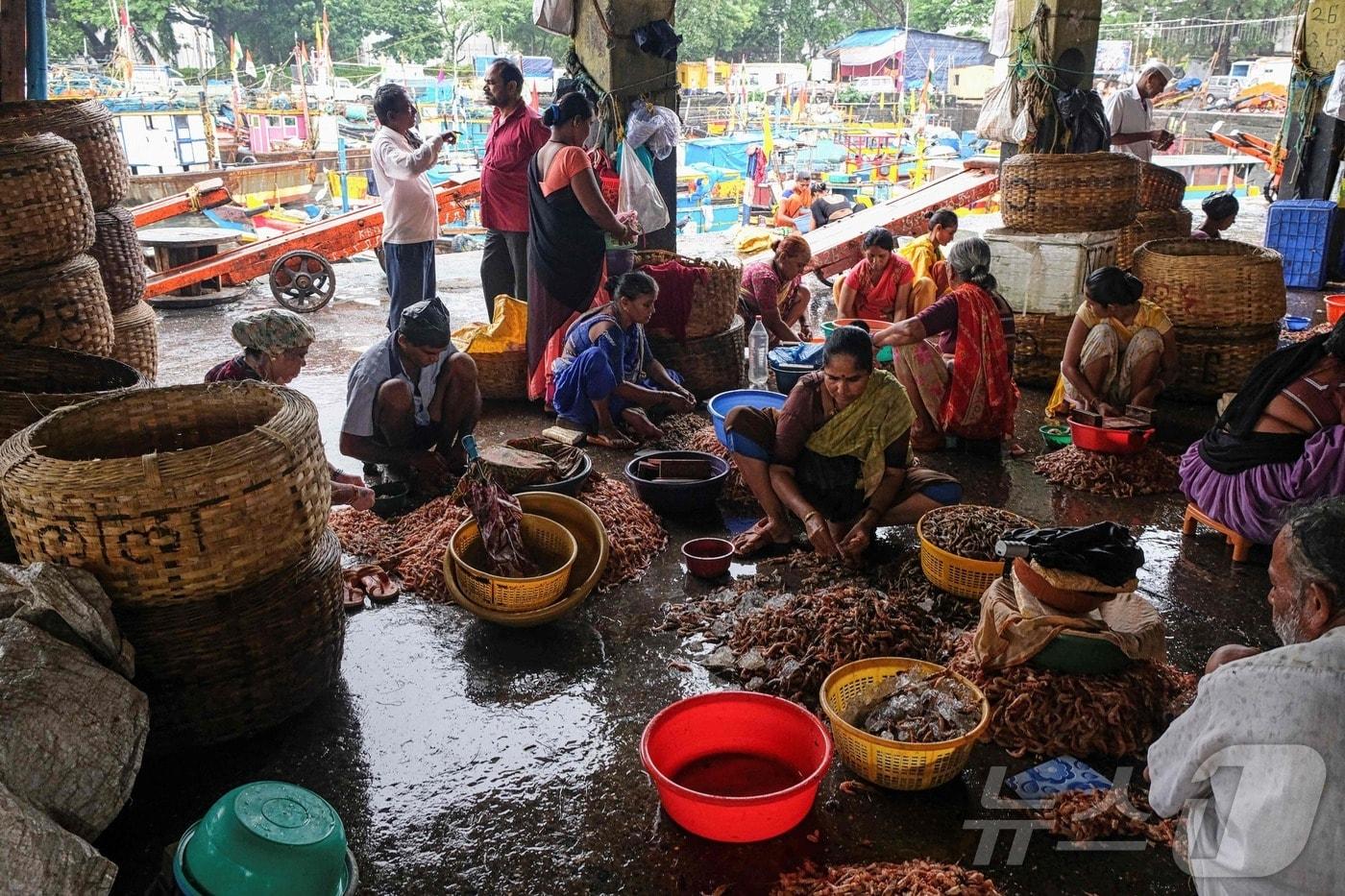 2019년 9월 7일, 인도 뭄바이의 한 수산시장에서 노동자들이 새우를 손질하는 모습. ⓒ AFP=뉴스1