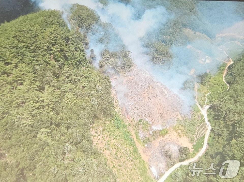 본문 이미지 - 삼척 가곡면 산불 현장.(산림청 제공, 재판매 및 DB 금지) 2025.8.25/뉴스1