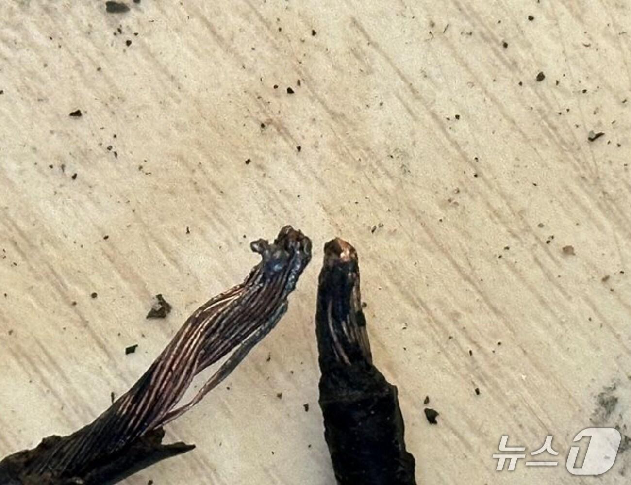 본문 이미지 - 화재 현장. (경기도소방재난본부 제공. 재판매 및 DB 금지) 2025.8.25/뉴스1