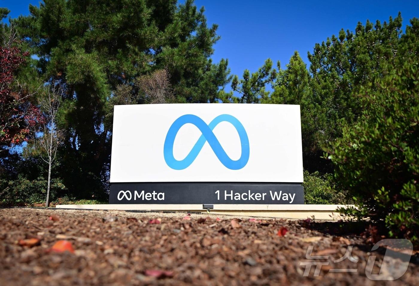 메타 ⓒ AFP=뉴스1