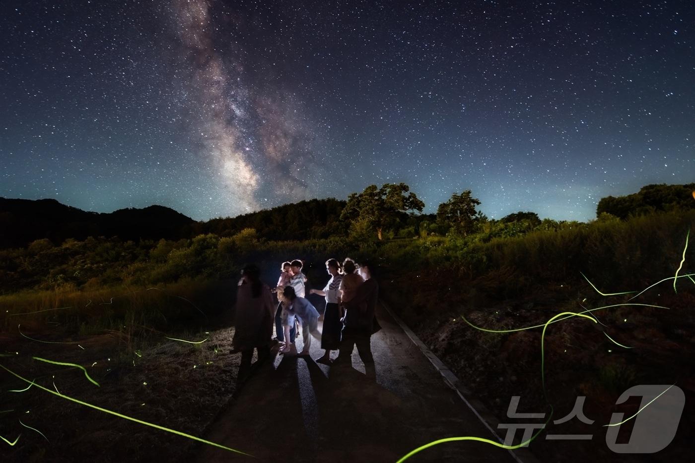 영양군은 오는 30일 영양 국제밤하늘보호공원에서 ‘2025년 별빛 반딧불이 체험 축제’를 연다.(영양군 제공,재판매 및 DB 금지) ⓒ News1 김대벽기자