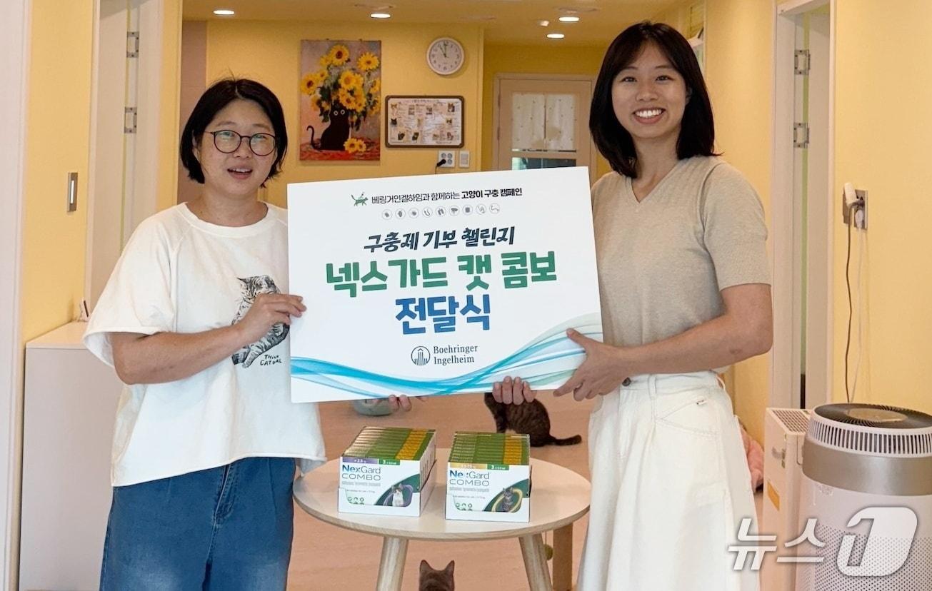 본문 이미지 - 한국베링거인겔하임동물약품은 최근 고양이보호소에 구충제를 기부했다고 밝혔다(업체 제공). ⓒ 뉴스1