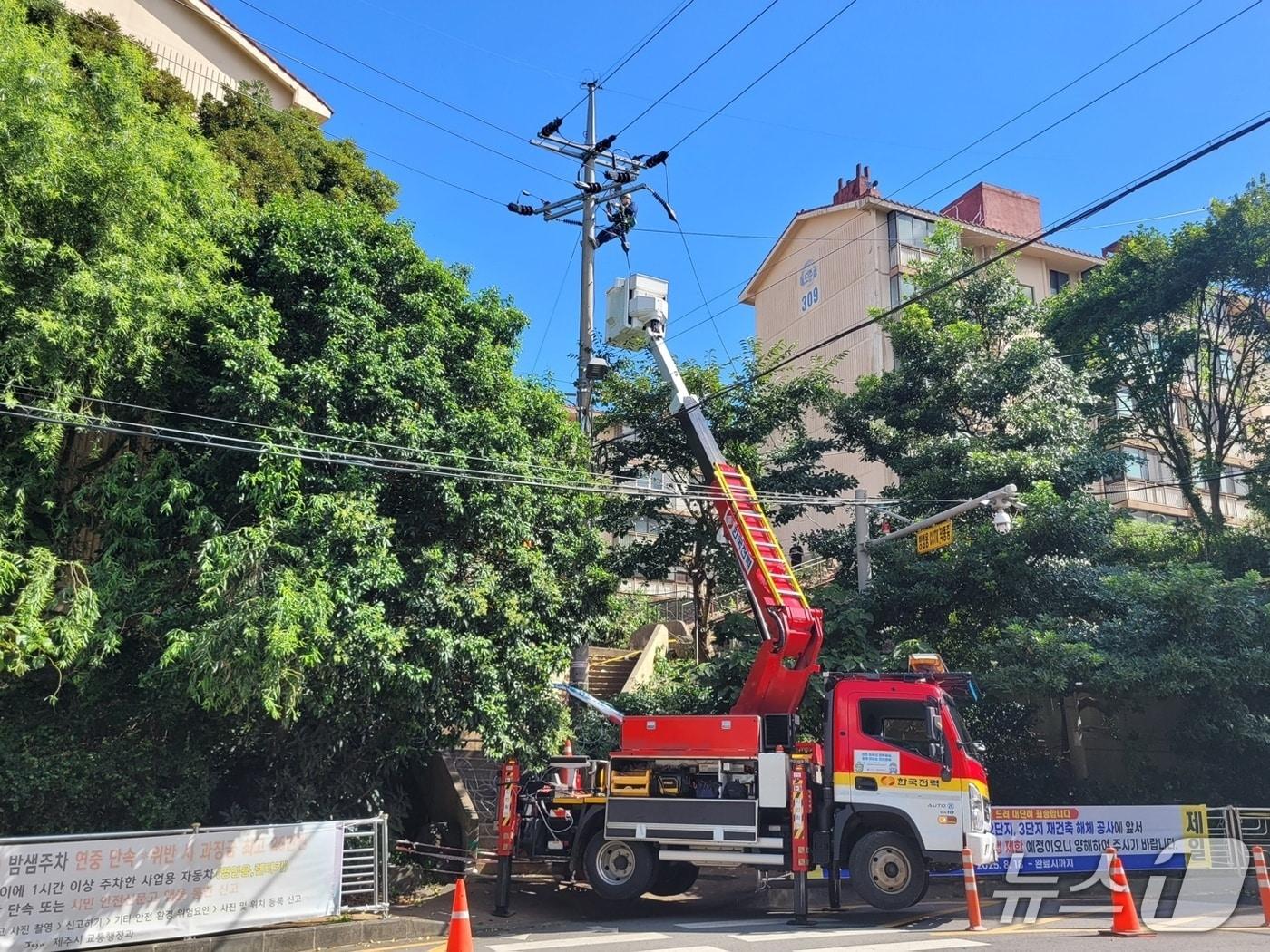 본문 이미지 - 25일 오후 제주시 도남동에서 수목 제거 공사 중 사고로 1300여 세대에 정전이 발생했다.(제주도소방안전본부 제공. 재판매 및 DB 금지)