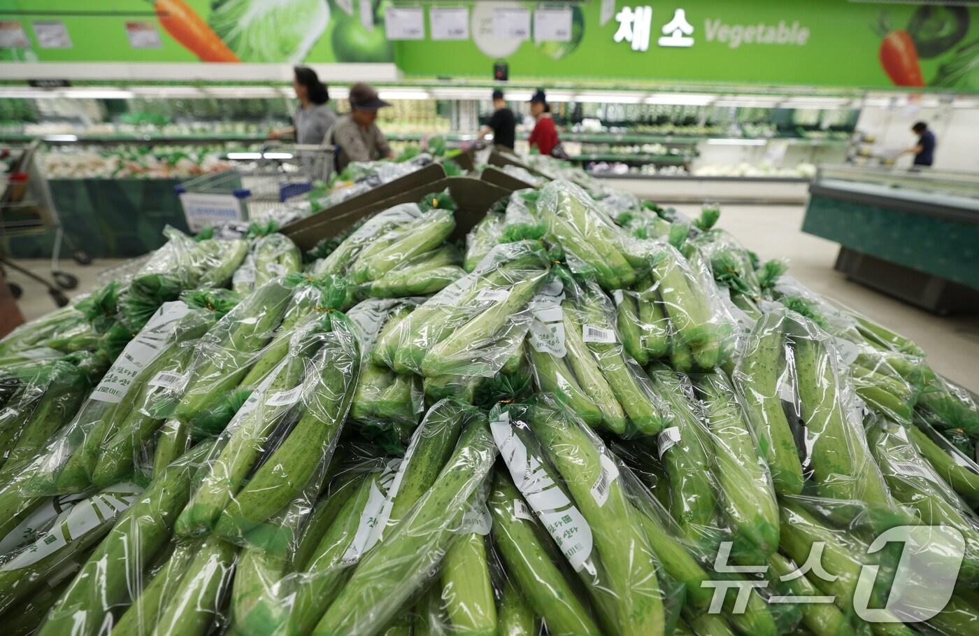  25일 서울 도심의 한 마트에서 시민들이 오이를 살펴보고 있다. 2025.8.25/뉴스1 ⓒ News1 권현진 기자