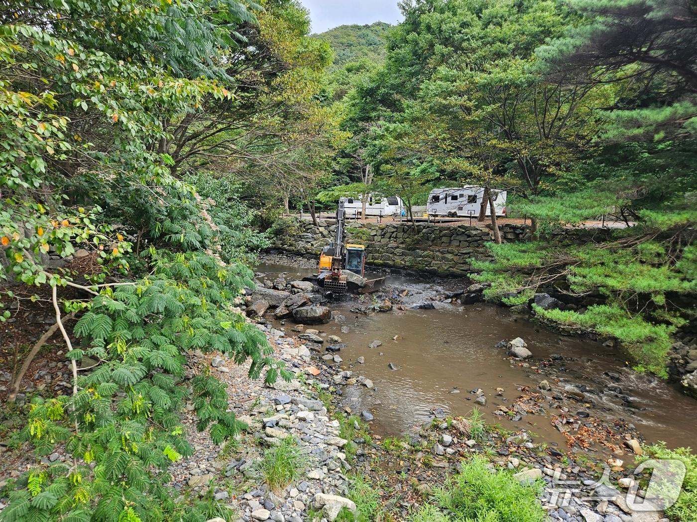 본문 이미지 - 중장비가 성주산 계곡에 불법 설치된 물막이를 제거하고 있다.(독자제공. 재판매 및 DB금지) /뉴스1