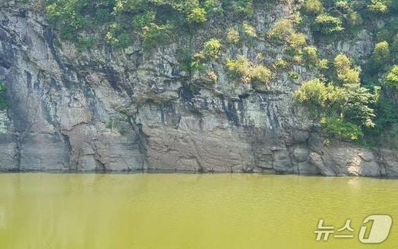 본문 이미지 - 지난달 19일 침수된 대곡천 반구대 암각화 모습. &#40;울산환경운동연합 제공. 재판매 및 DB 금지&#41; /뉴스1