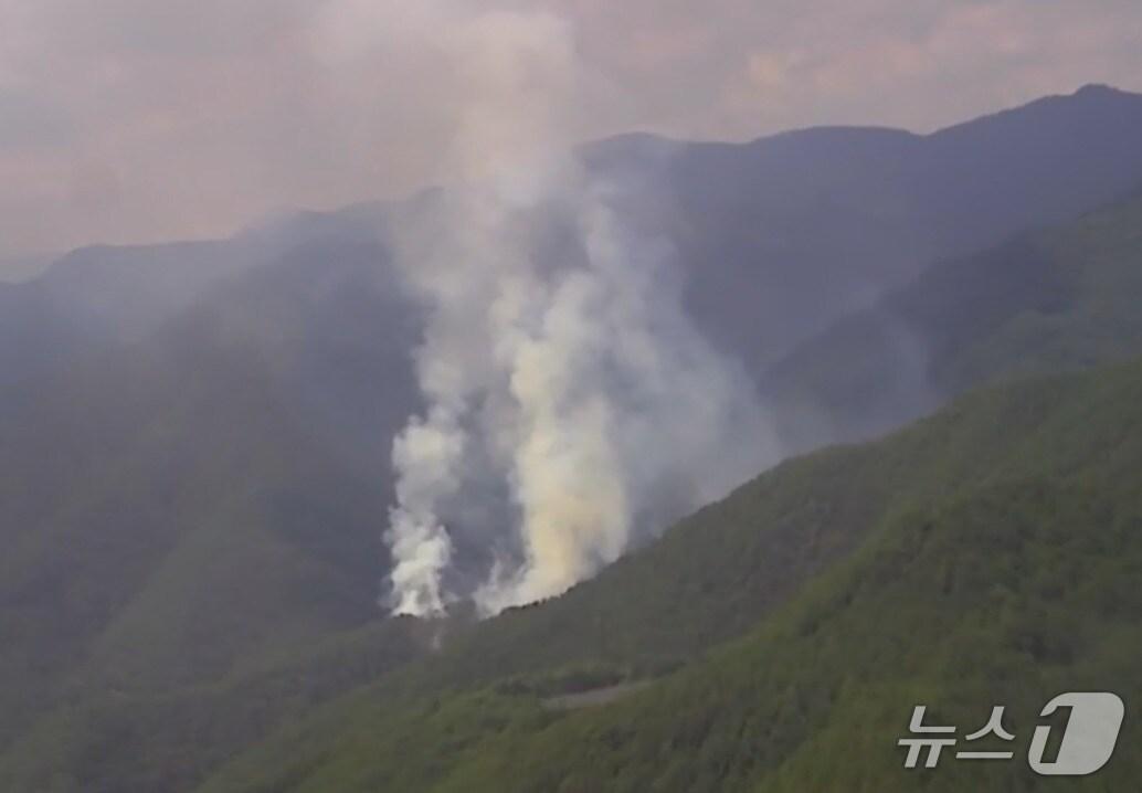 본문 이미지 - 강원 삼척 산불.(산림청 제공. 재판매 및 DB금지)/뉴스1