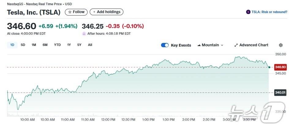 본문 이미지 - 테슬라 일일 주가추이 - 야후 파이낸스 갈무리
