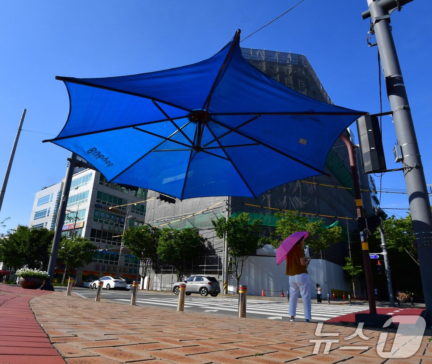 본문 이미지 - 자료사진/뉴스1