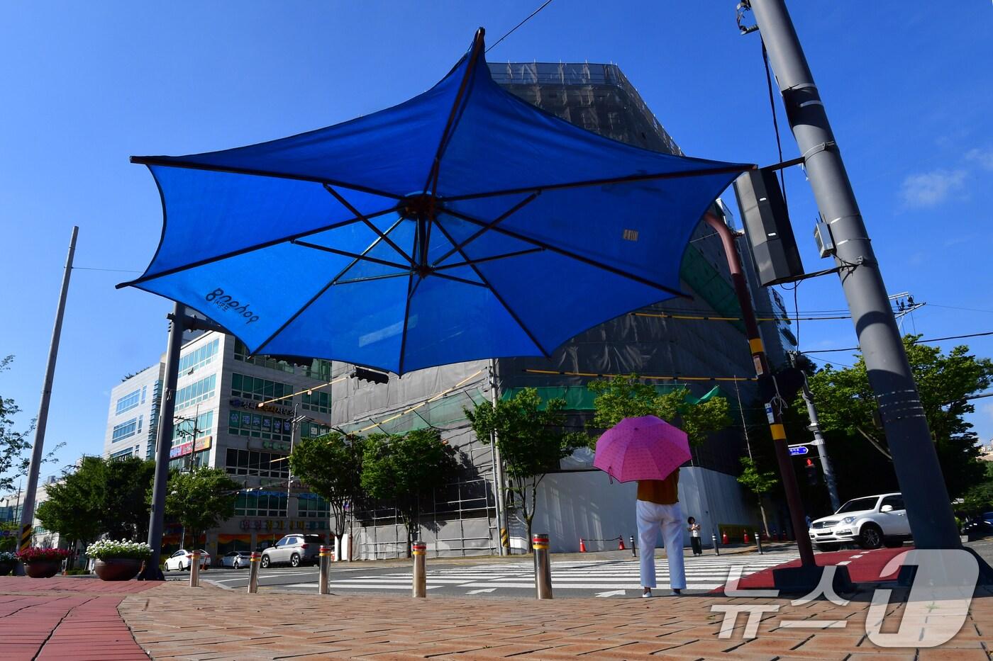 26일 경북 포항시 전역에 폭염특보가 발효 중인 가운데 출근길에 나선 시민이 포항시청 앞 횡단보도에 설치된 대형 우산 그늘막 밑에서 신호를 기다리고 있다. 2025.8.26/뉴스1 ⓒ News1 최창호 기자