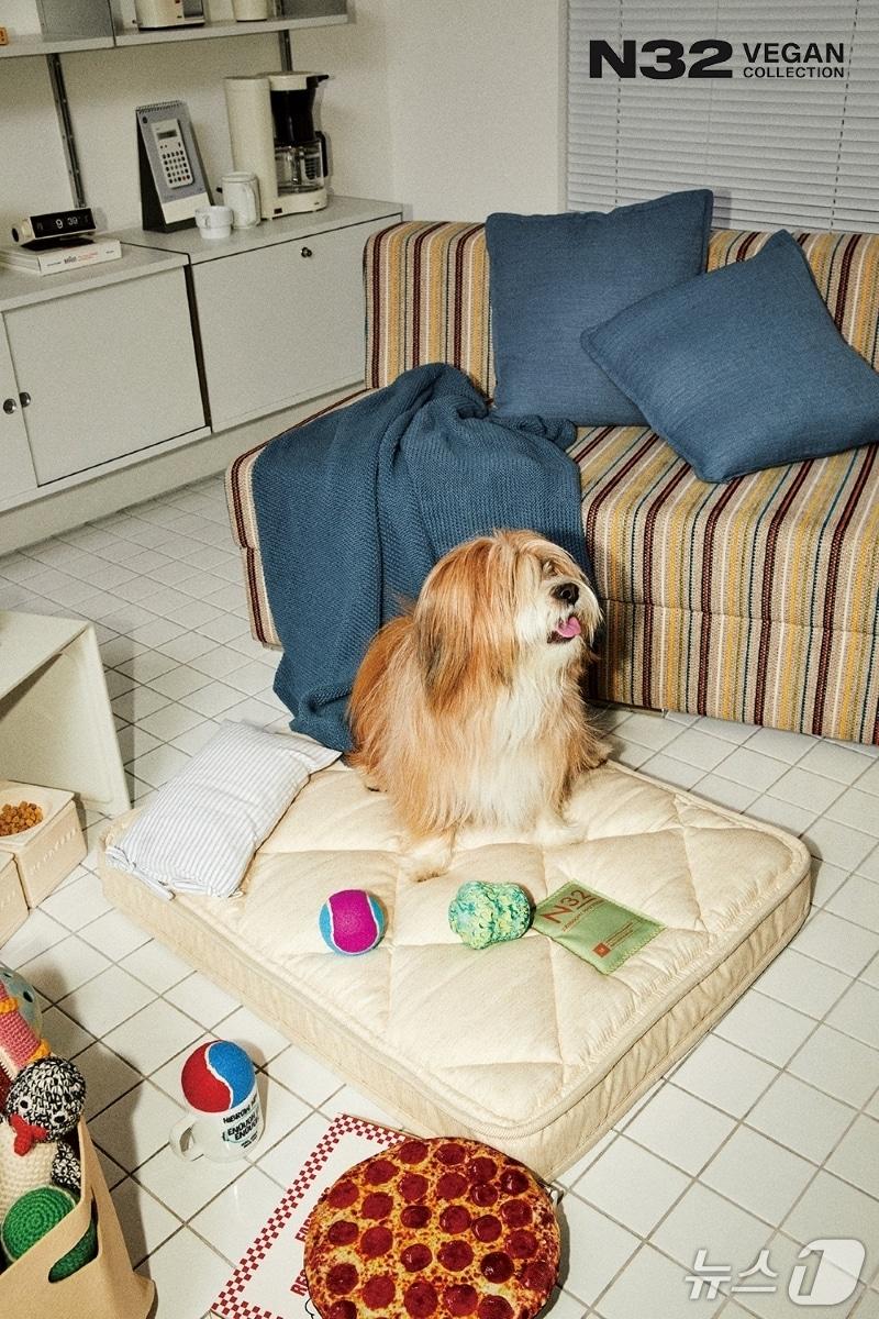 본문 이미지 - 펫 매트리스 &#39;N32 쪼꼬미&#39;&#40;N32 제공&#41;