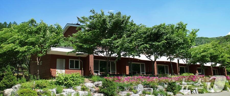 본문 이미지 - 음성군 백야자연휴양림.(음성군 제공. 재판매 및 DB금지) /뉴스1       