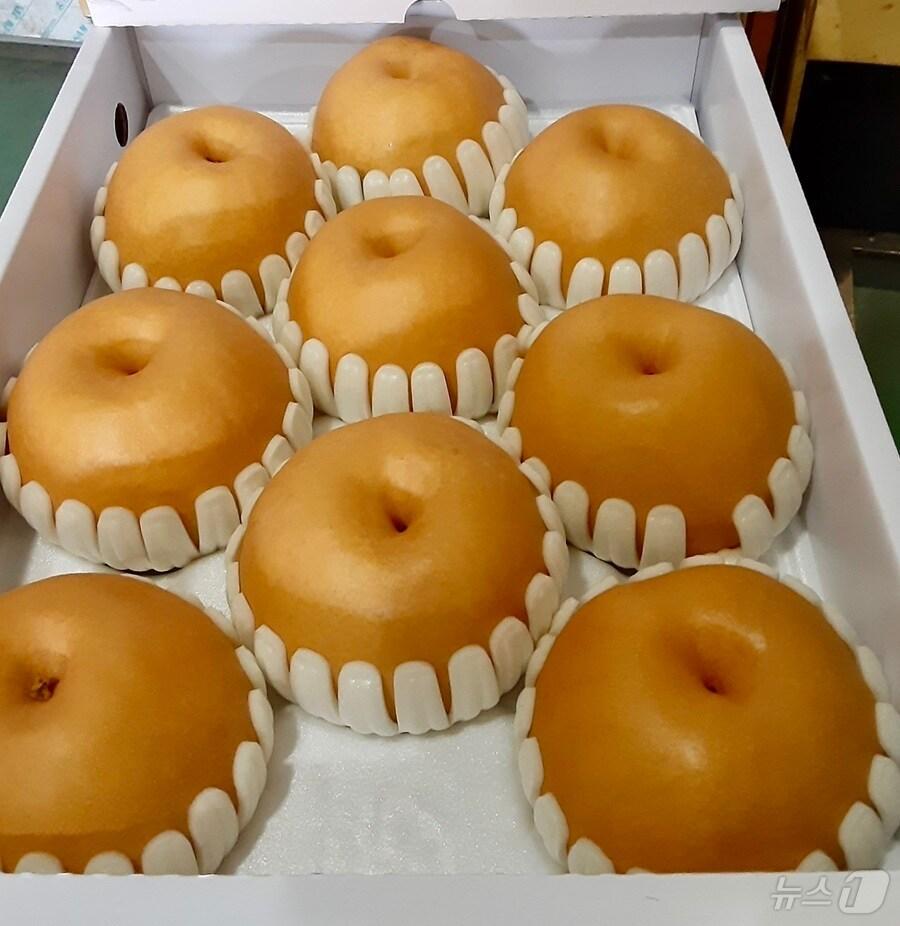 본문 이미지 - 순천 낙안배.(순천시 제공. 재판매 및 DB 금지)