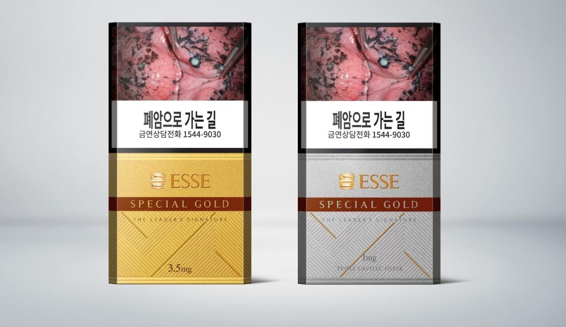 본문 이미지 - (KT&G 제공)