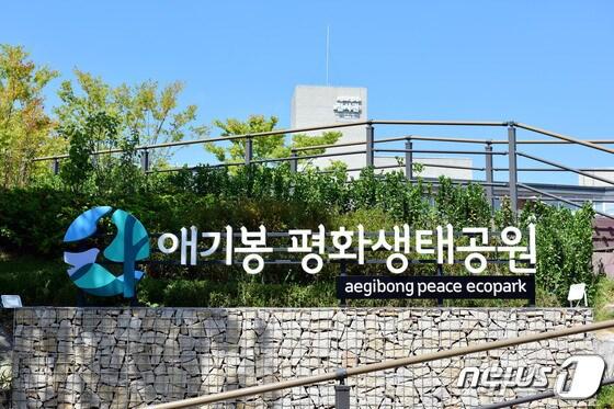 본문 이미지 - 애기봉 평화생태공원/뉴스1