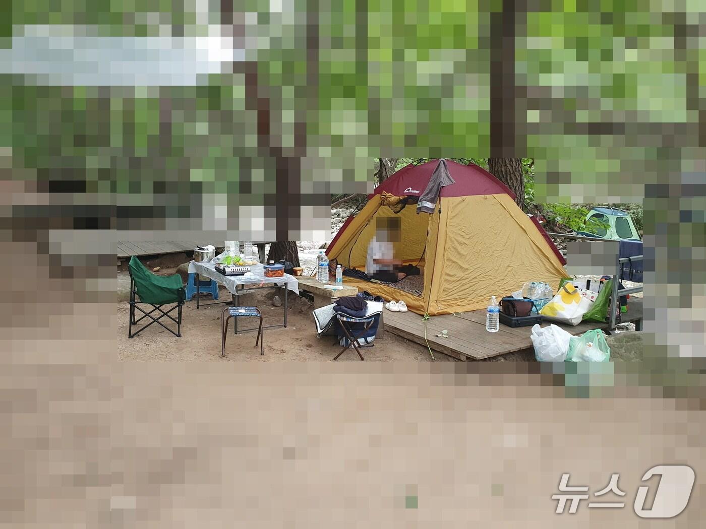 본문 이미지 - 경남도 특별사법경찰에 불법 행위 현장으로 적발된 미등록 야영장 모습(경남도 제공. 재판매 및 DB금지)